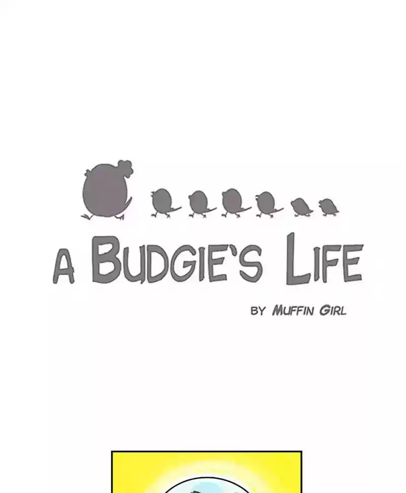 A Budgie's Life Chapter 176: Ep.175: