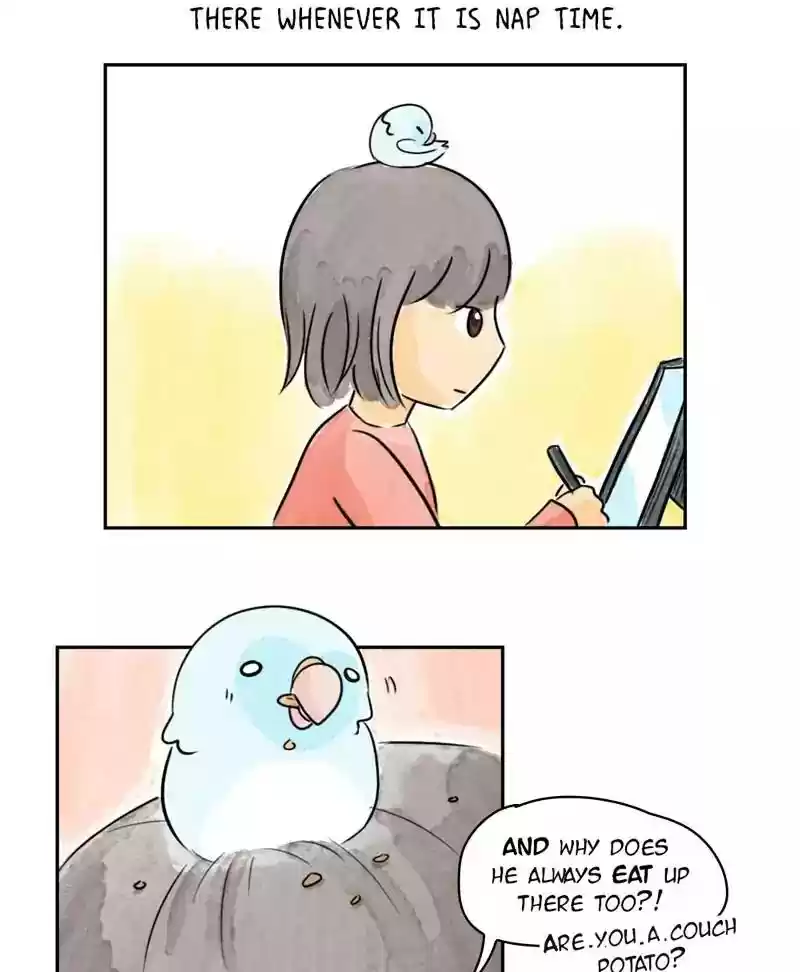 A Budgie's Life Chapter 176: Ep.175: