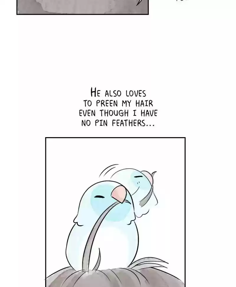 A Budgie's Life Chapter 176: Ep.175: