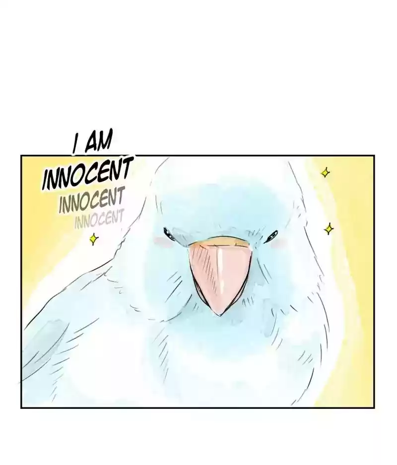 A Budgie's Life Chapter 176: Ep.175: