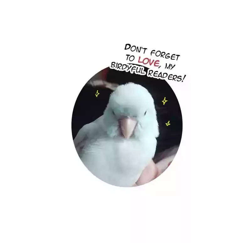 A Budgie's Life Chapter 176: Ep.175: