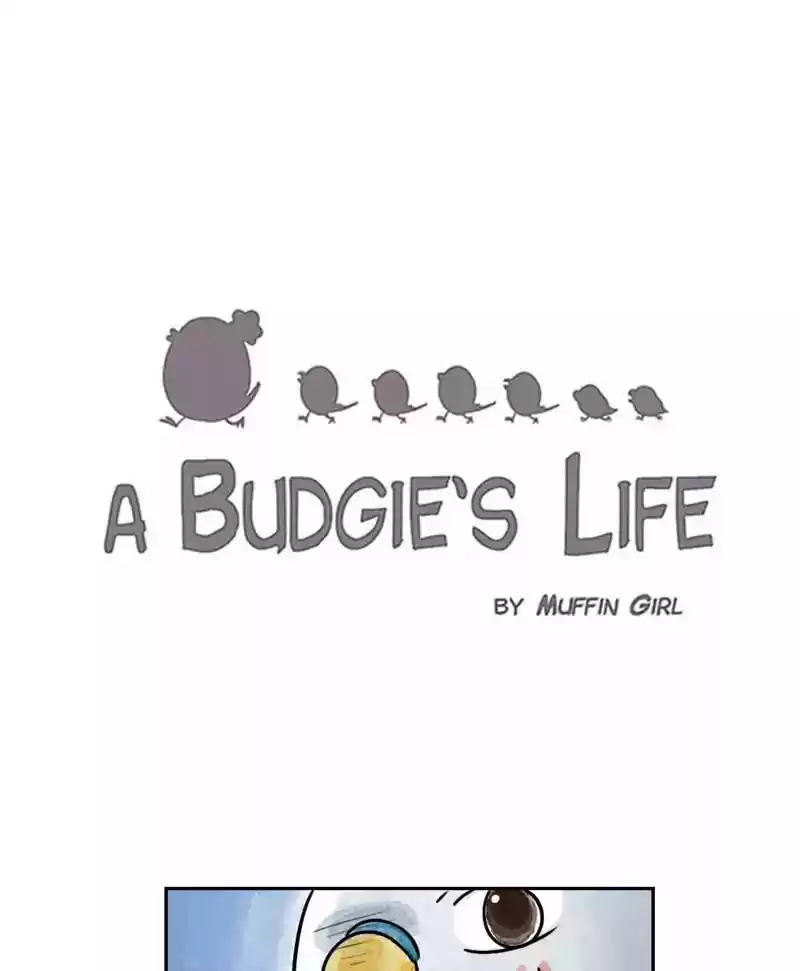 A Budgie's Life Chapter 177: Ep.176:
