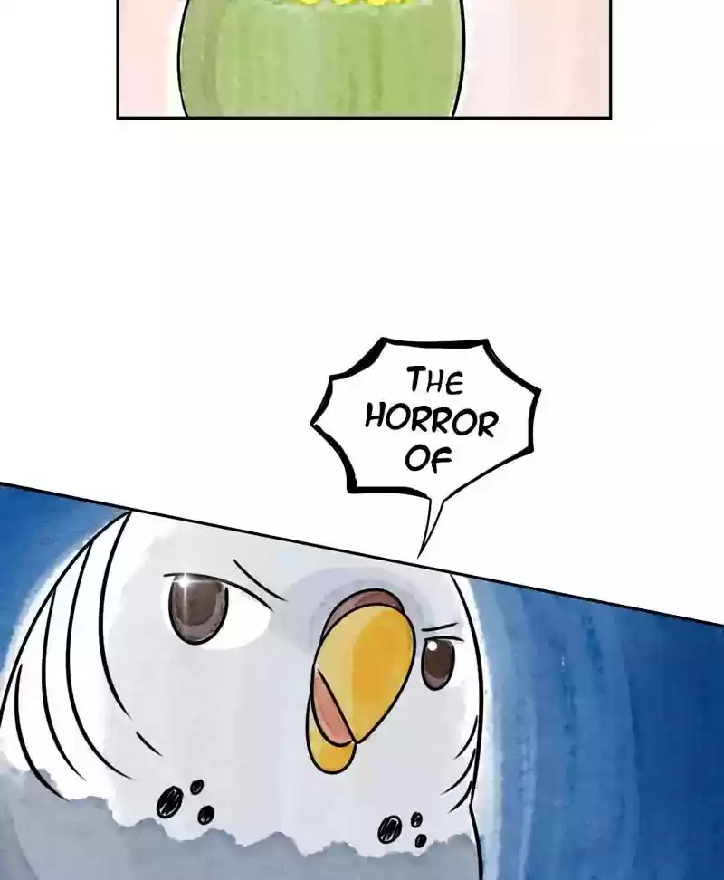 A Budgie's Life Chapter 177: Ep.176: