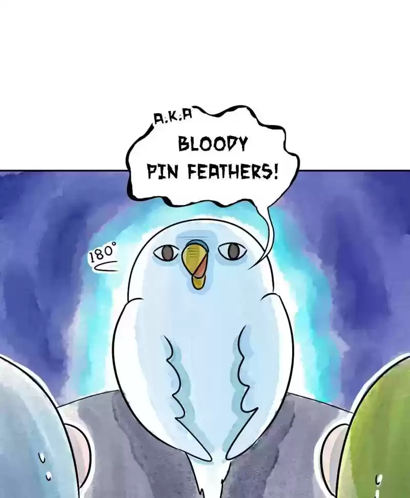 A Budgie's Life Chapter 177: Ep.176: