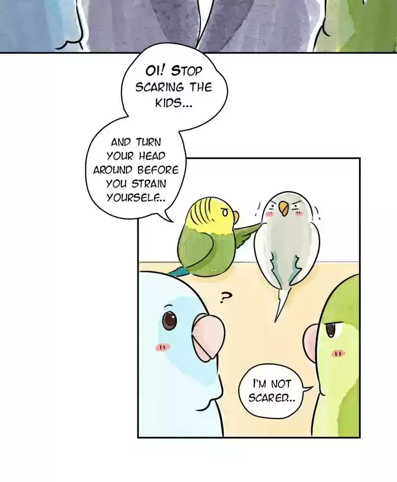 A Budgie's Life Chapter 177: Ep.176: