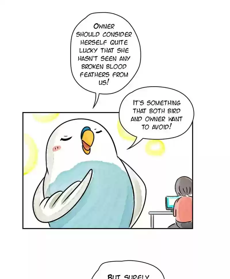 A Budgie's Life Chapter 177: Ep.176: