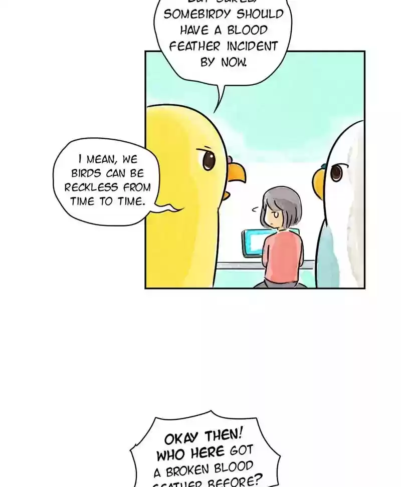 A Budgie's Life Chapter 177: Ep.176: