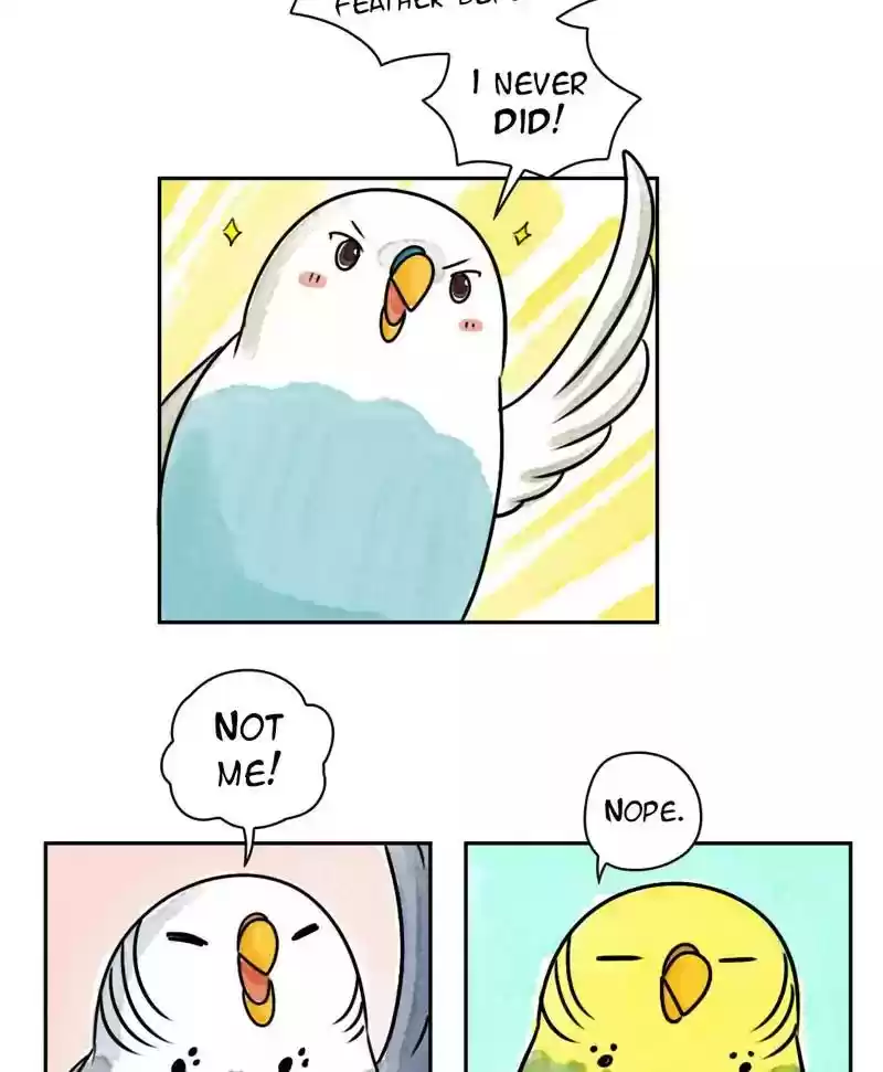 A Budgie's Life Chapter 177: Ep.176:
