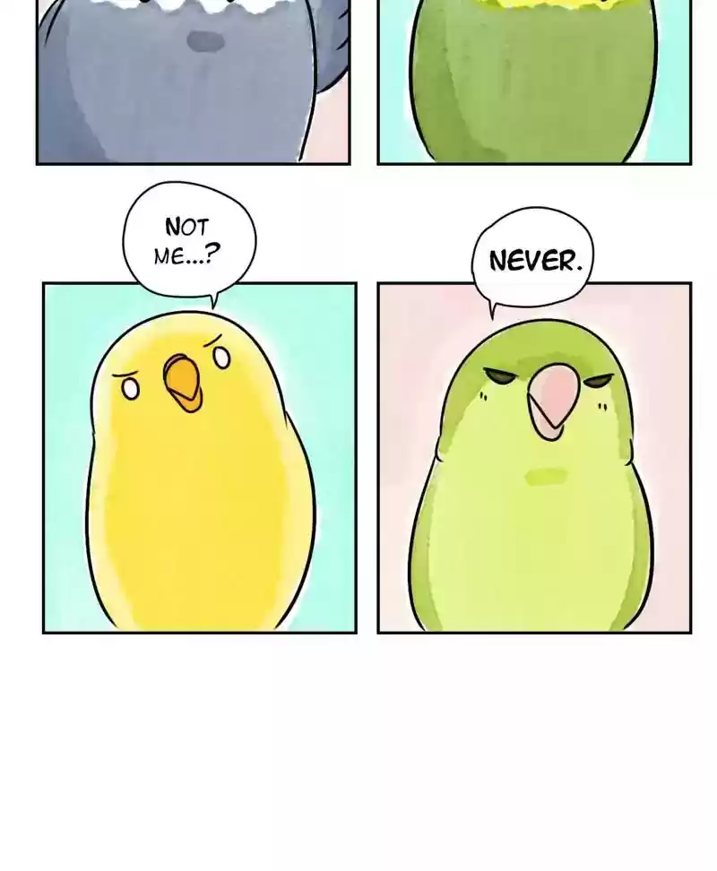 A Budgie's Life Chapter 177: Ep.176: