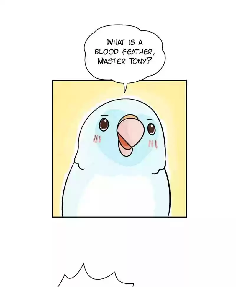 A Budgie's Life Chapter 177: Ep.176: