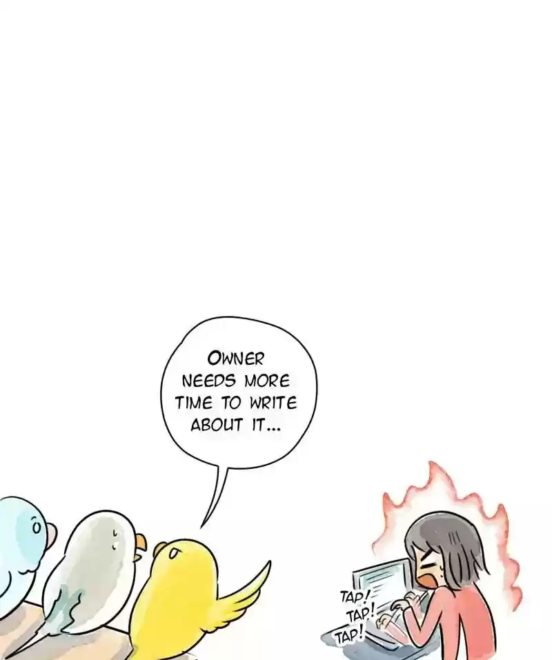 A Budgie's Life Chapter 177: Ep.176: