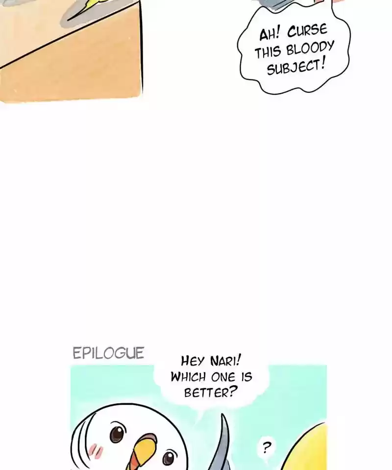 A Budgie's Life Chapter 177: Ep.176: