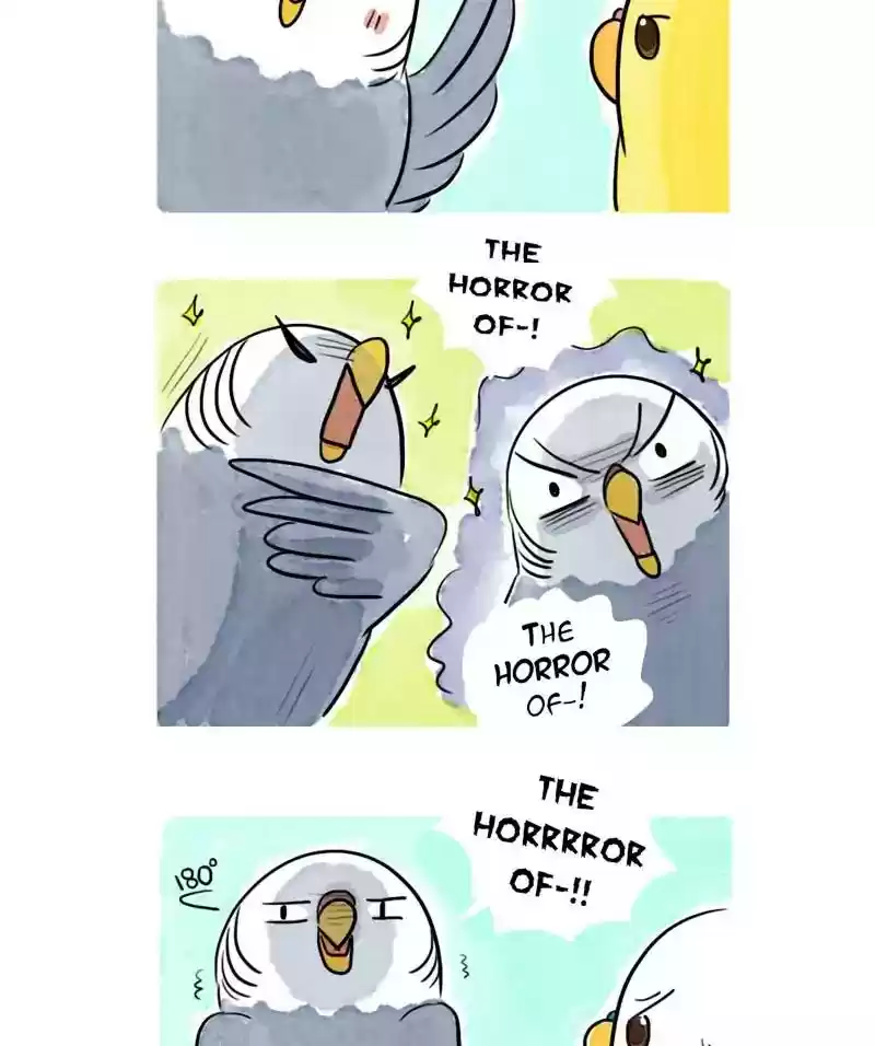 A Budgie's Life Chapter 177: Ep.176: