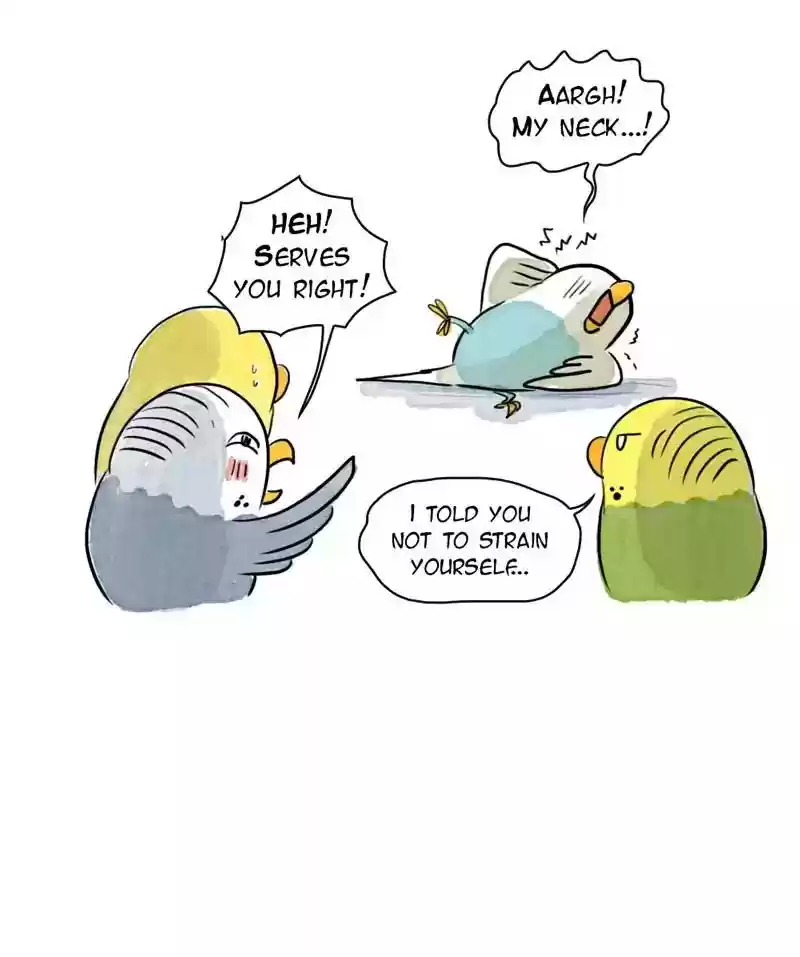 A Budgie's Life Chapter 177: Ep.176: