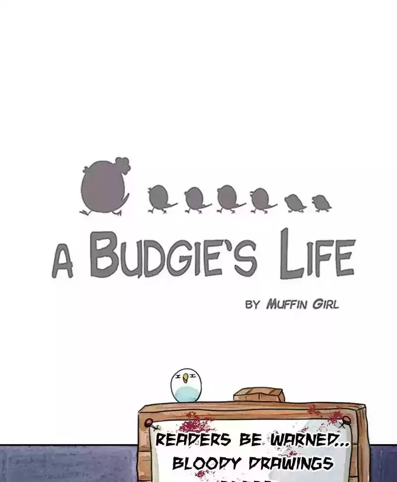 A Budgie's Life Chapter 178: Ep.177: