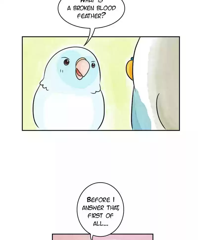 A Budgie's Life Chapter 178: Ep.177: