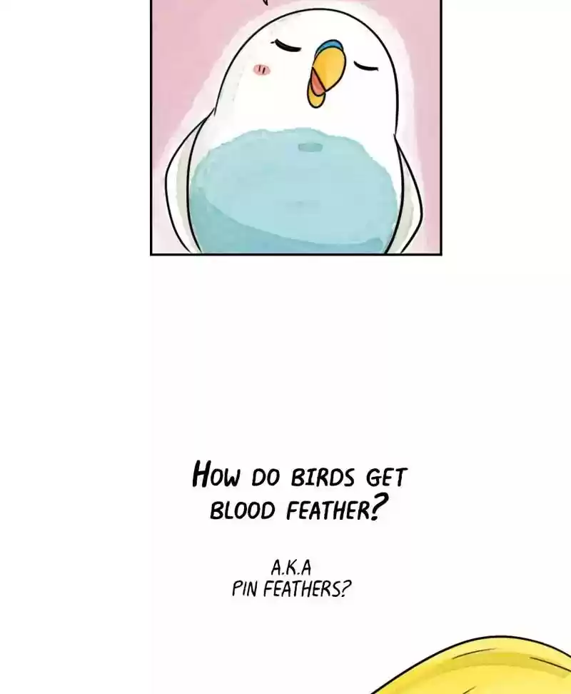 A Budgie's Life Chapter 178: Ep.177: