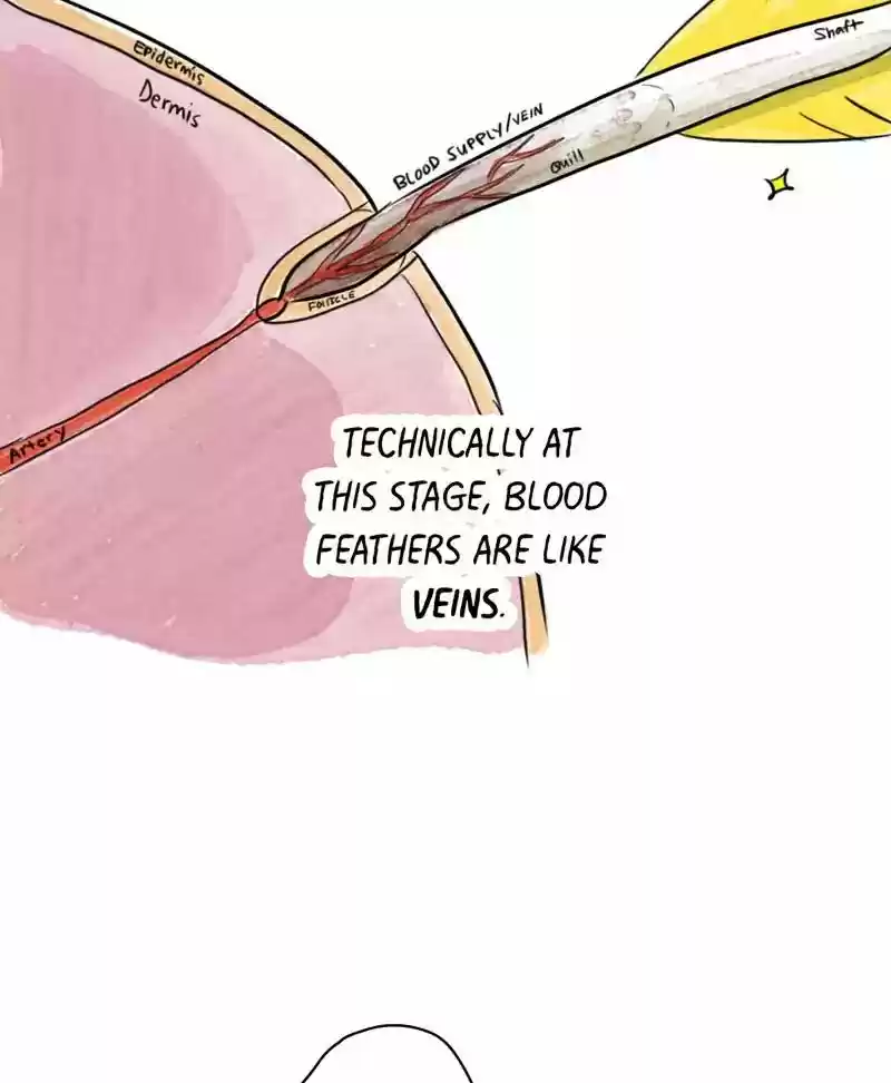 A Budgie's Life Chapter 178: Ep.177: