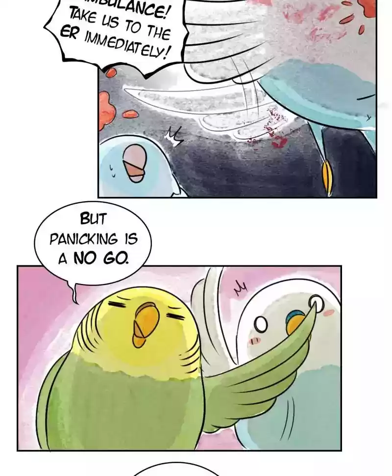A Budgie's Life Chapter 178: Ep.177: