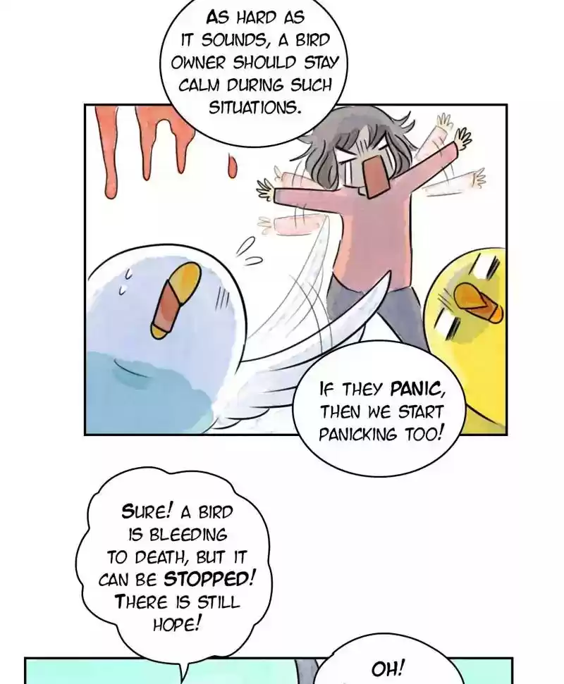 A Budgie's Life Chapter 178: Ep.177: