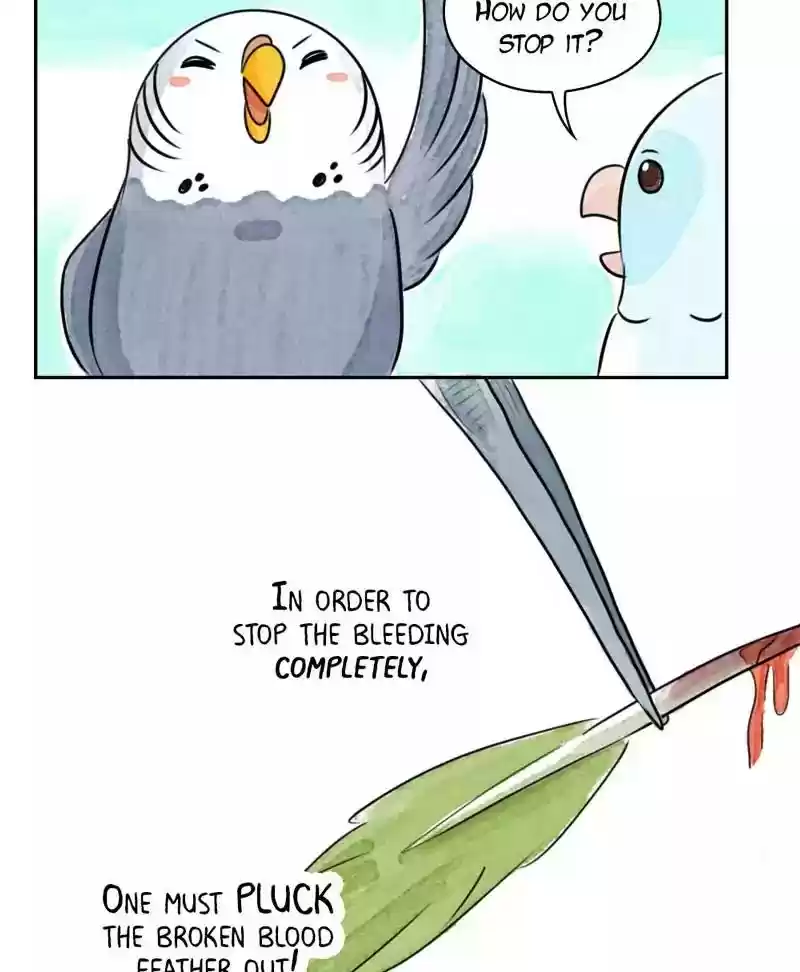 A Budgie's Life Chapter 178: Ep.177: