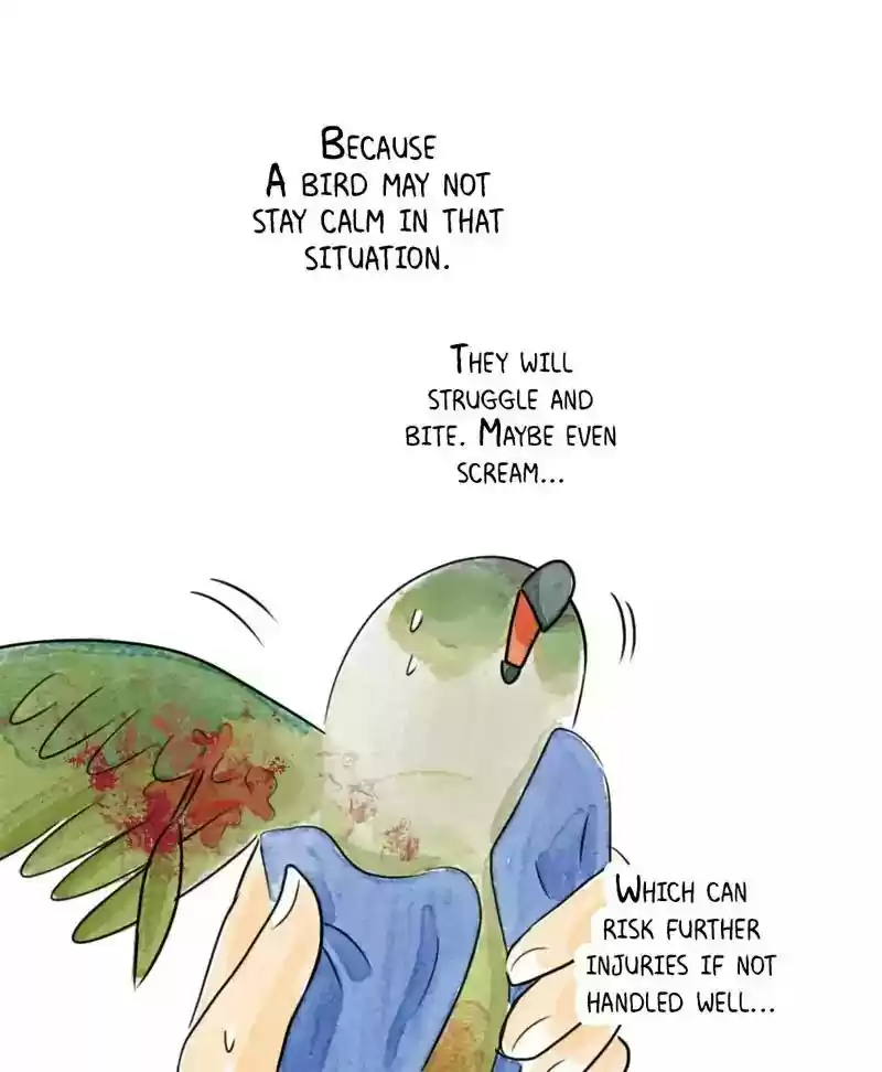 A Budgie's Life Chapter 178: Ep.177: