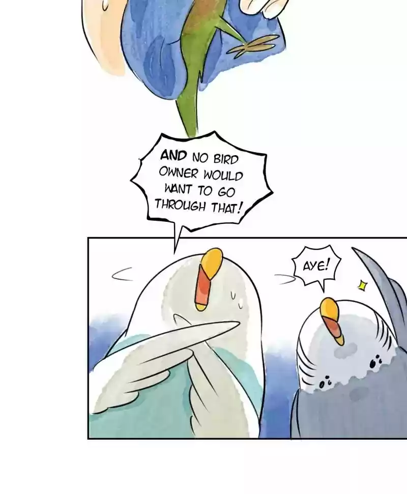 A Budgie's Life Chapter 178: Ep.177: