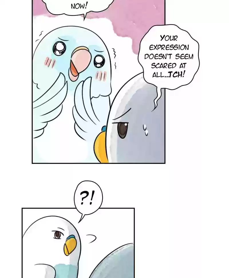 A Budgie's Life Chapter 178: Ep.177: