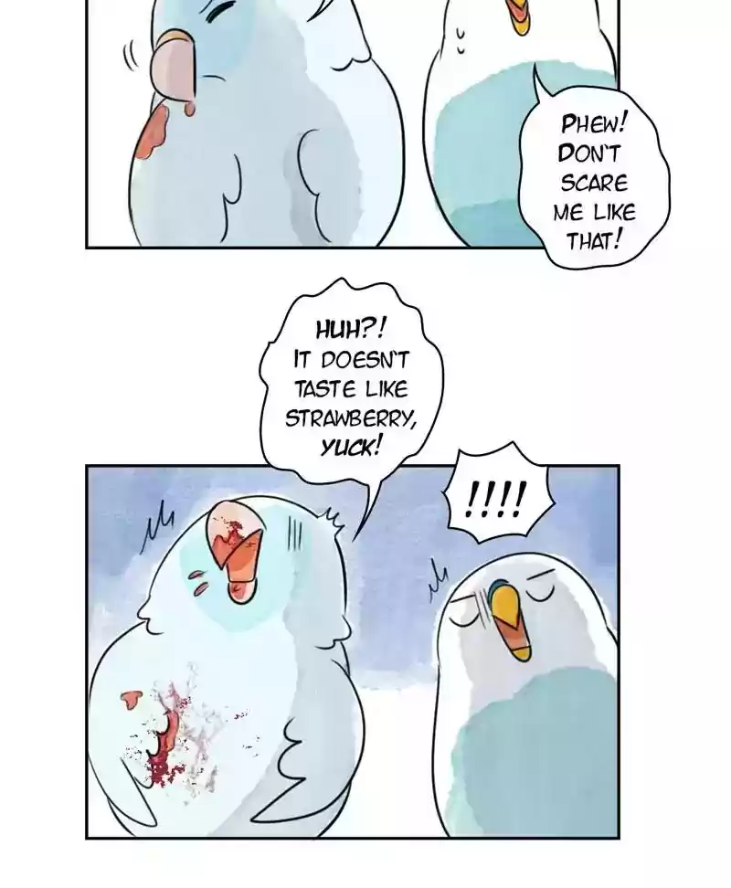 A Budgie's Life Chapter 178: Ep.177:
