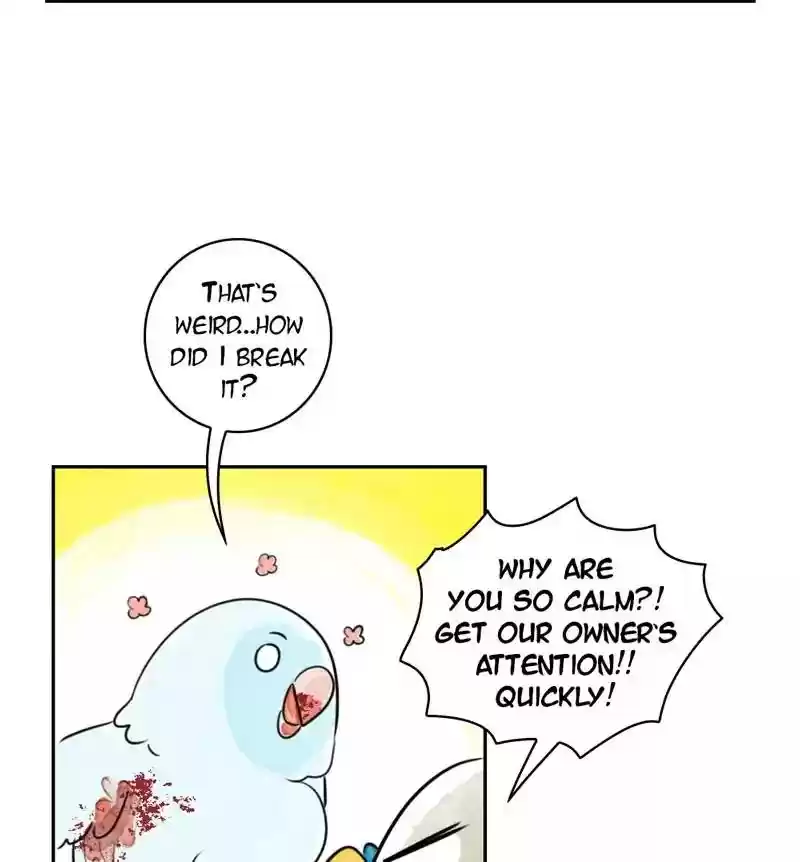 A Budgie's Life Chapter 178: Ep.177: