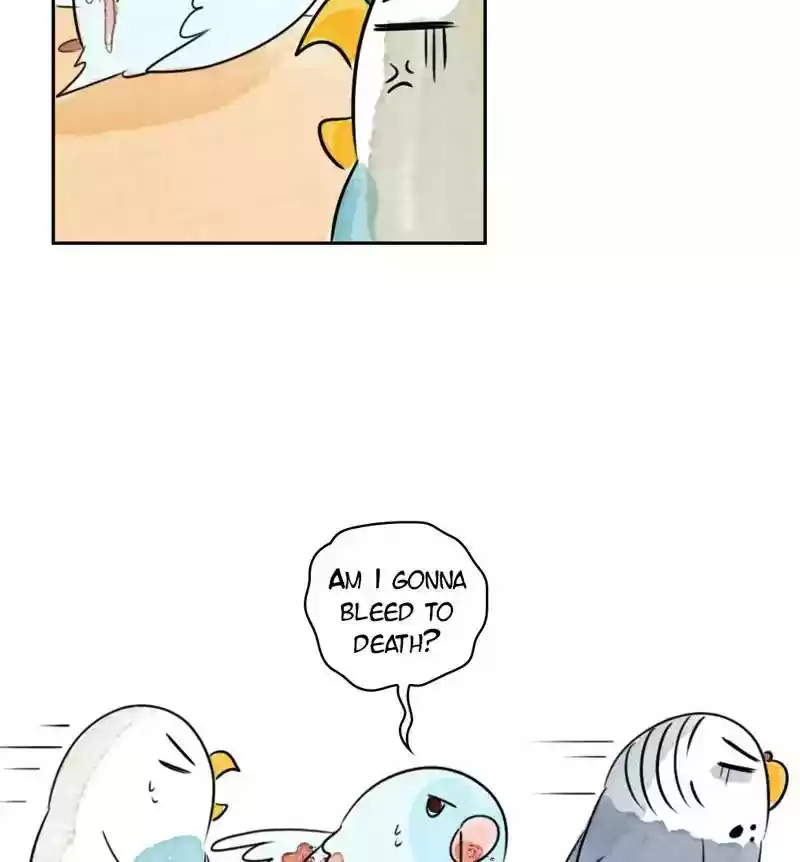 A Budgie's Life Chapter 178: Ep.177: