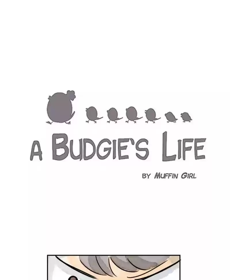 A Budgie's Life Chapter 179: Ep.178: