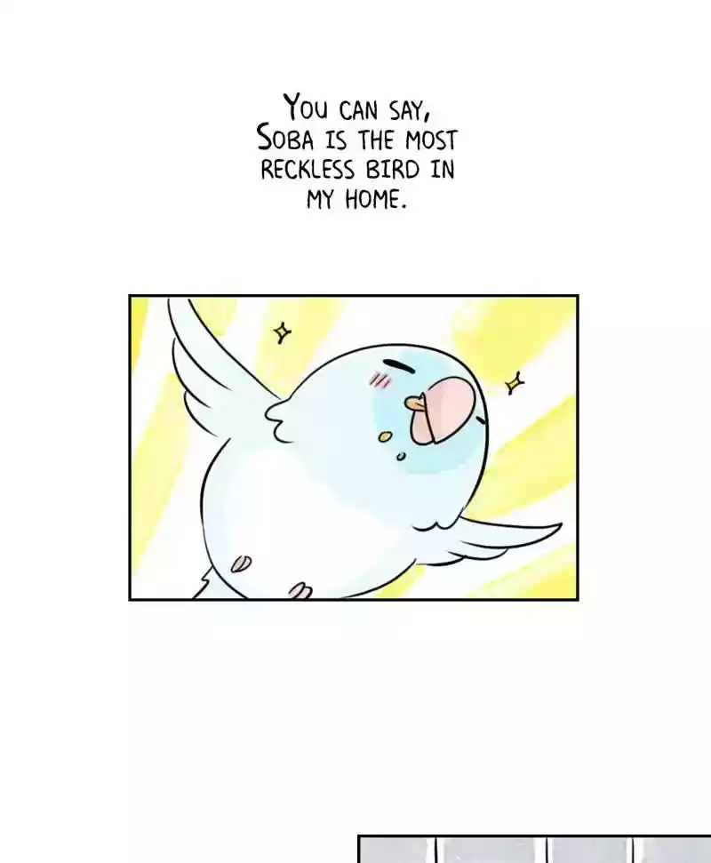 A Budgie's Life Chapter 179: Ep.178: