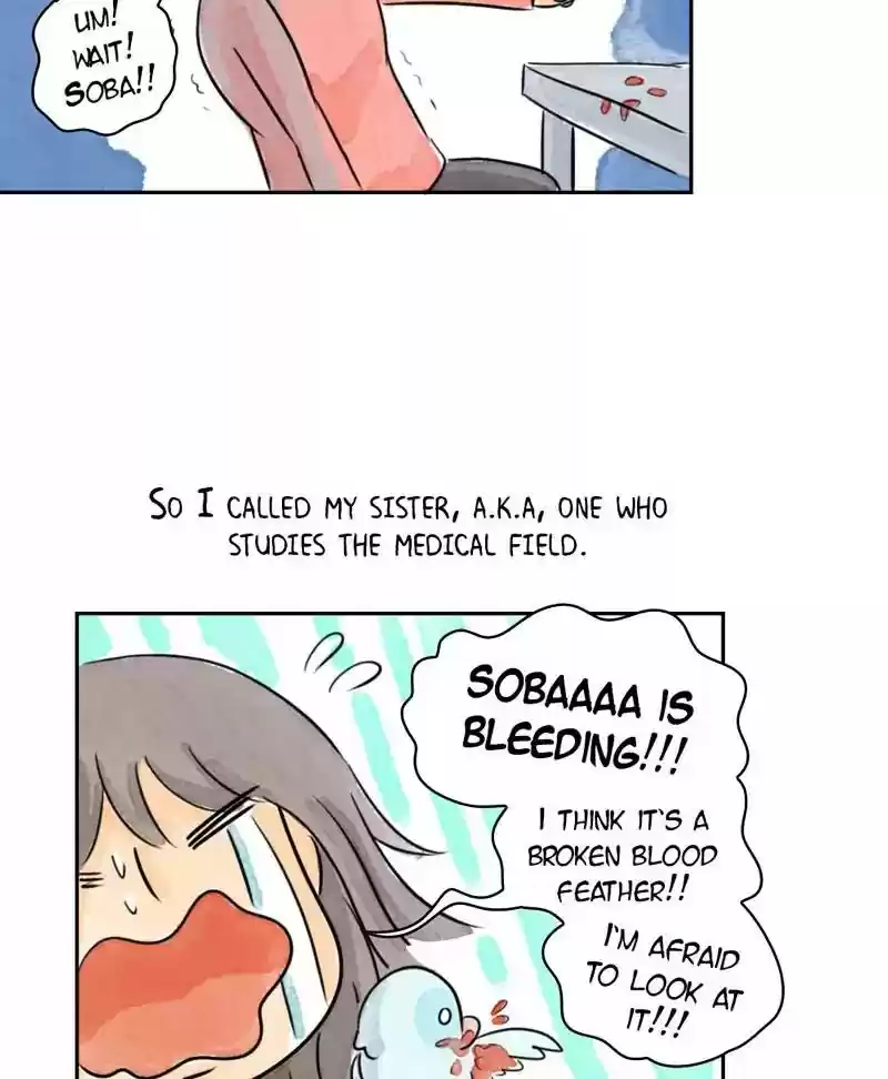 A Budgie's Life Chapter 179: Ep.178: