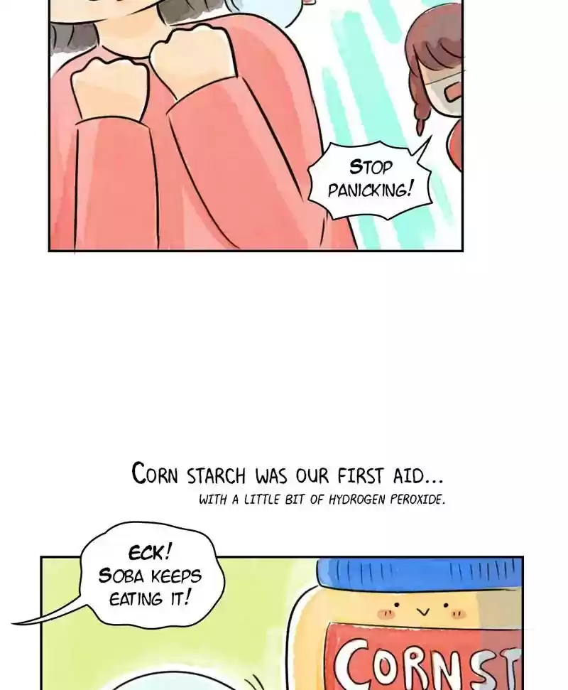 A Budgie's Life Chapter 179: Ep.178: