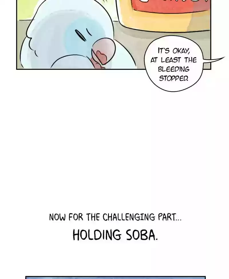 A Budgie's Life Chapter 179: Ep.178: