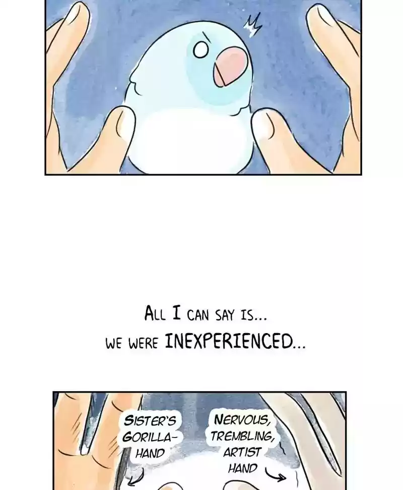 A Budgie's Life Chapter 179: Ep.178: