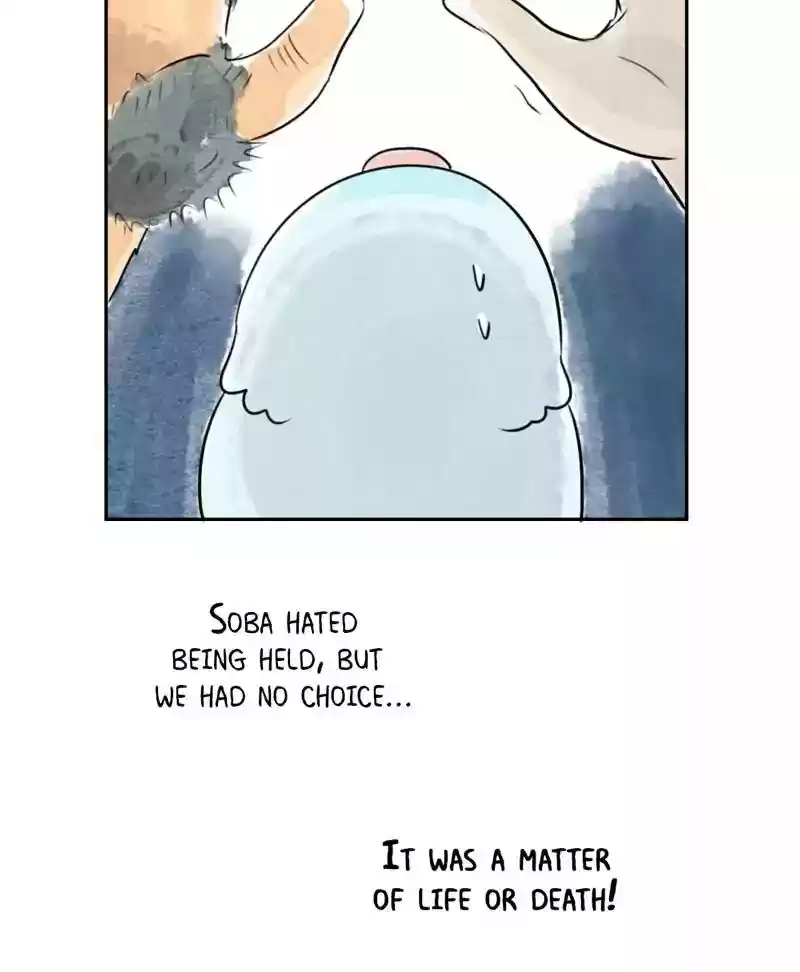 A Budgie's Life Chapter 179: Ep.178: