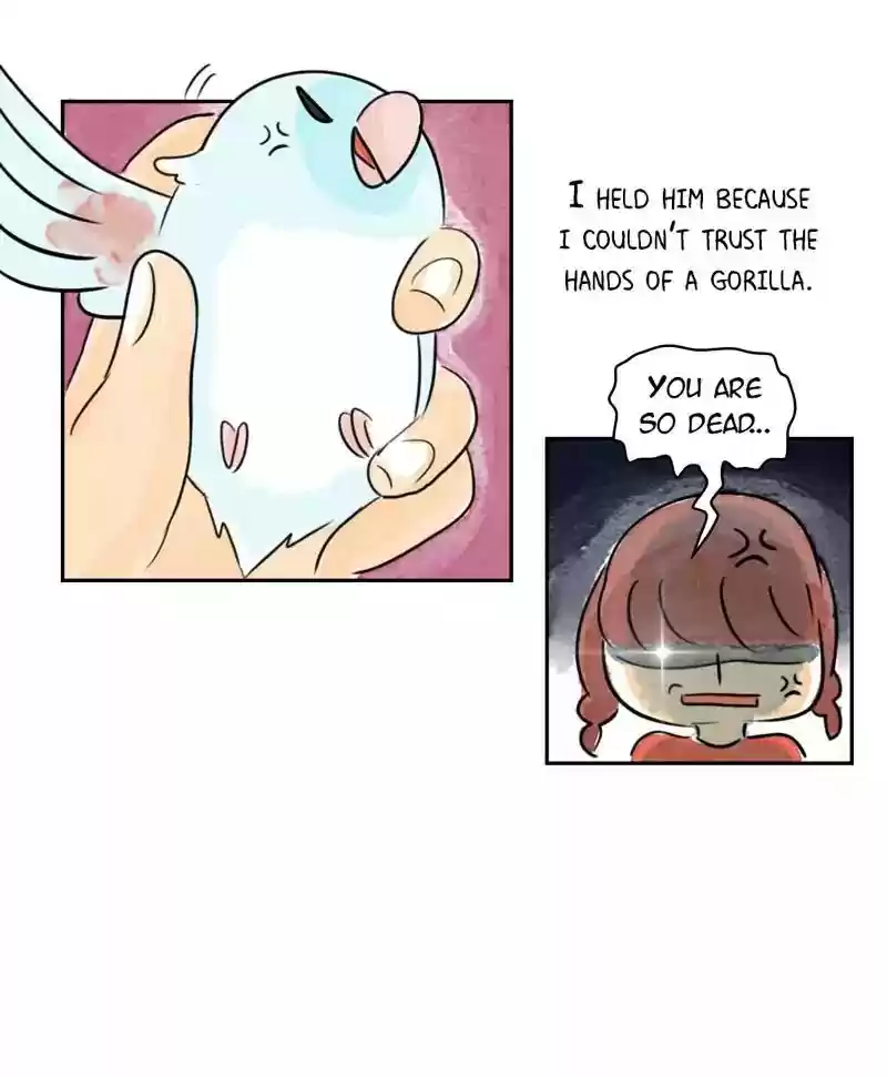 A Budgie's Life Chapter 179: Ep.178: