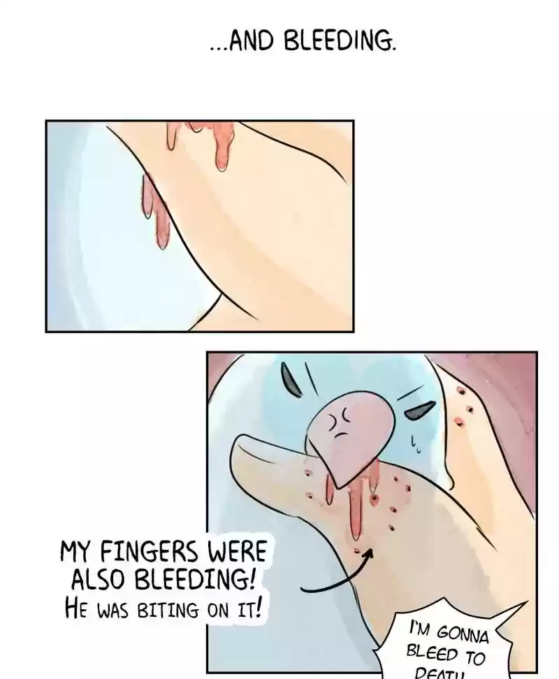 A Budgie's Life Chapter 179: Ep.178: