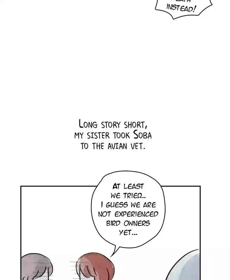 A Budgie's Life Chapter 179: Ep.178: