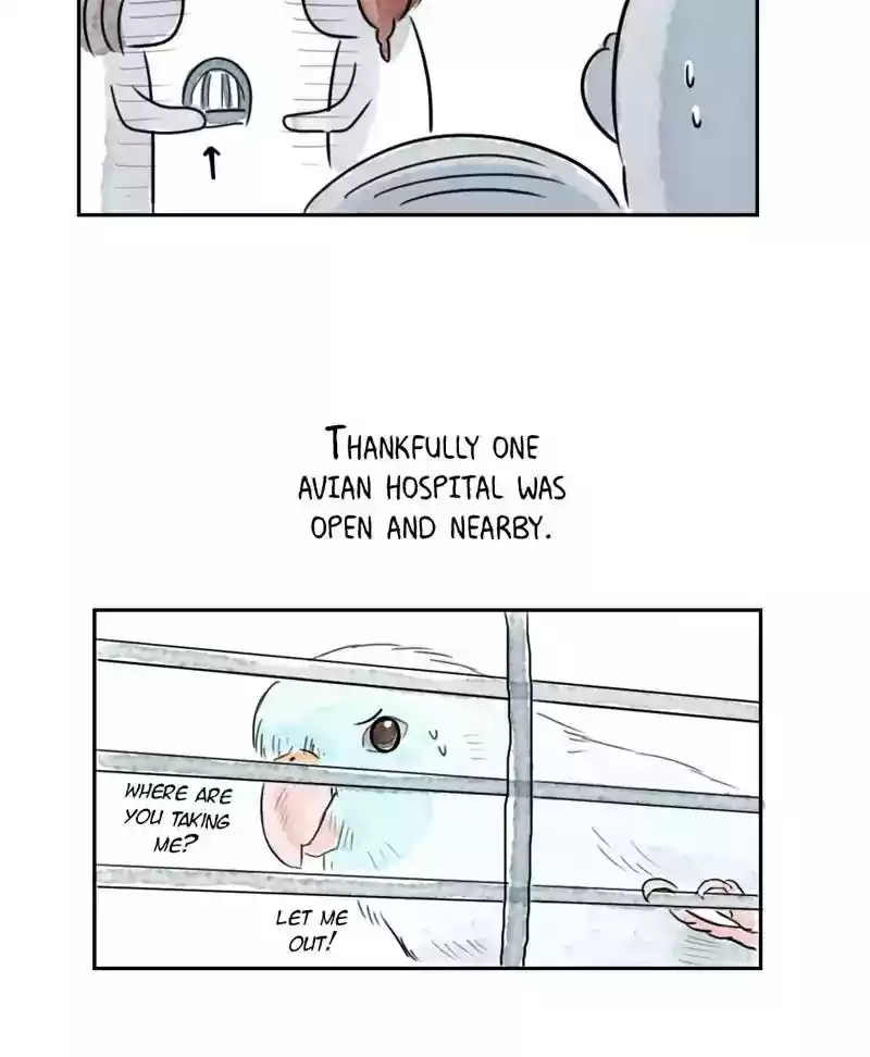 A Budgie's Life Chapter 179: Ep.178: