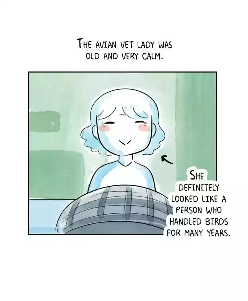 A Budgie's Life Chapter 179: Ep.178: