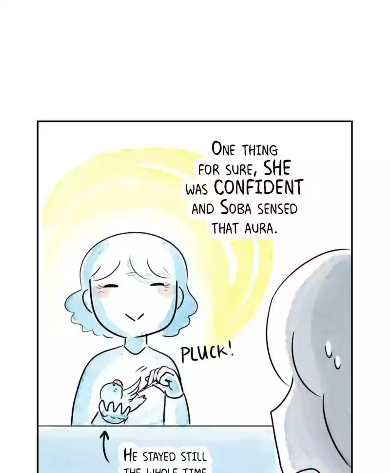 A Budgie's Life Chapter 179: Ep.178: