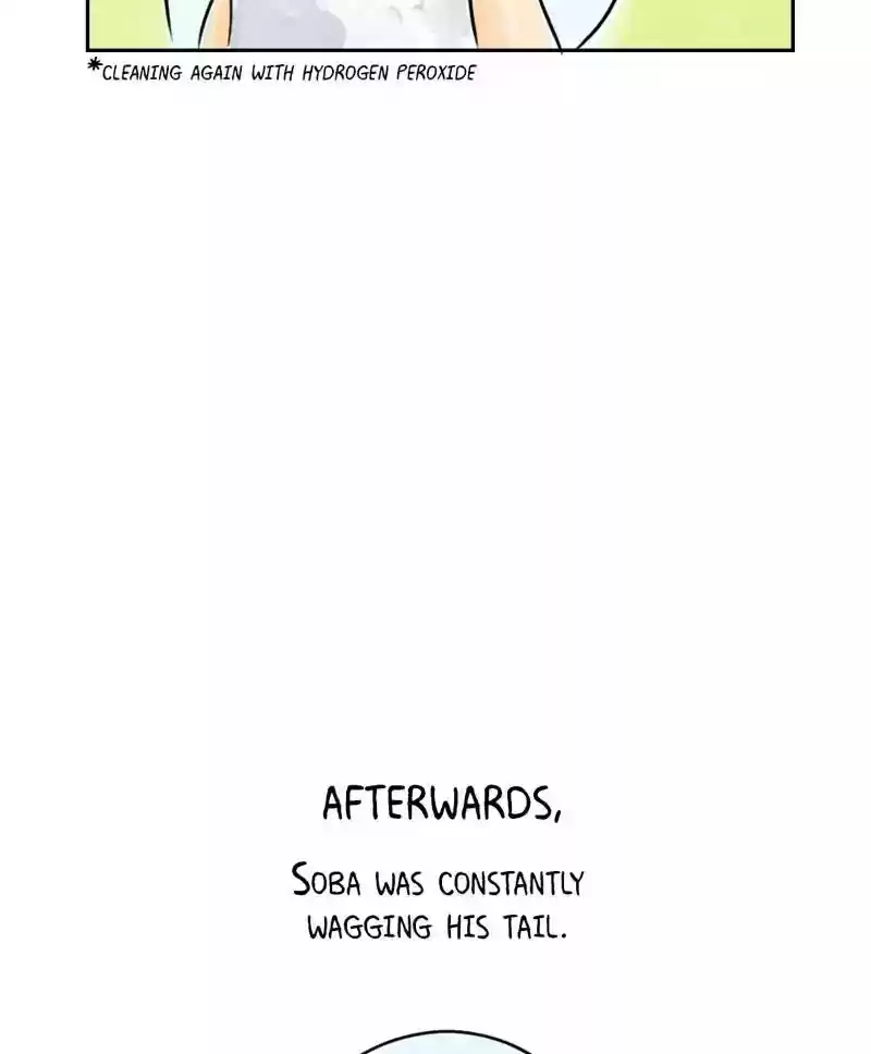 A Budgie's Life Chapter 179: Ep.178: