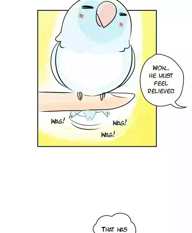 A Budgie's Life Chapter 179: Ep.178: