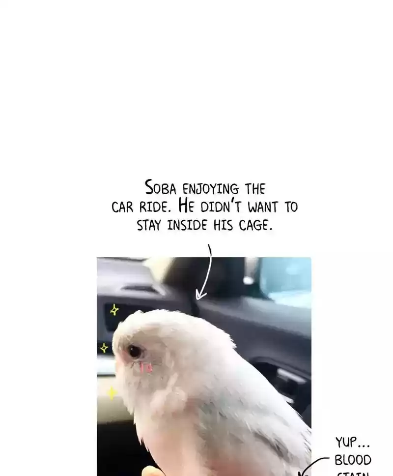 A Budgie's Life Chapter 179: Ep.178: