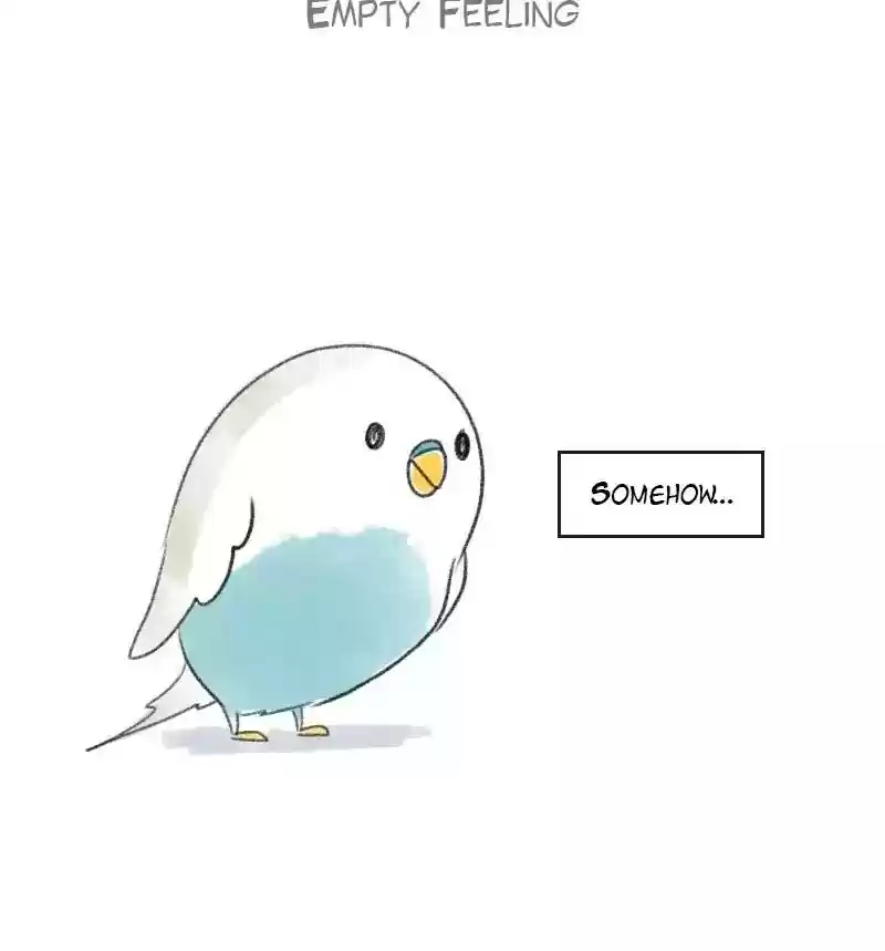A Budgie's Life Chapter 18: Ep.18: