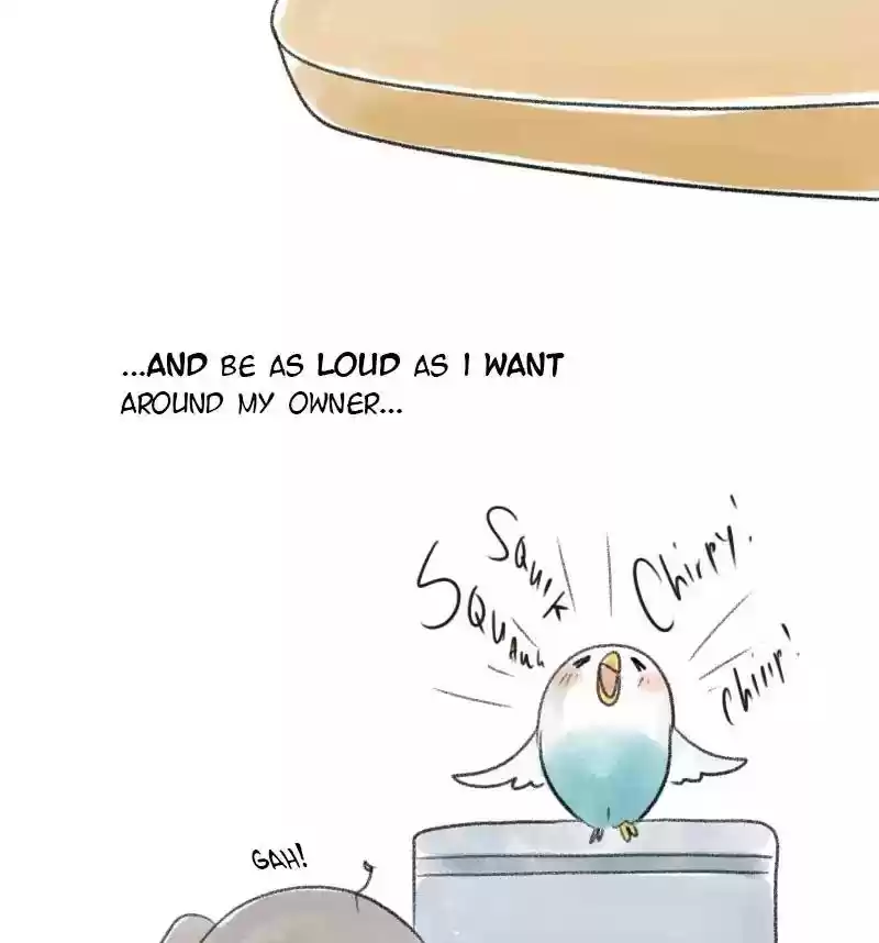 A Budgie's Life Chapter 18: Ep.18: