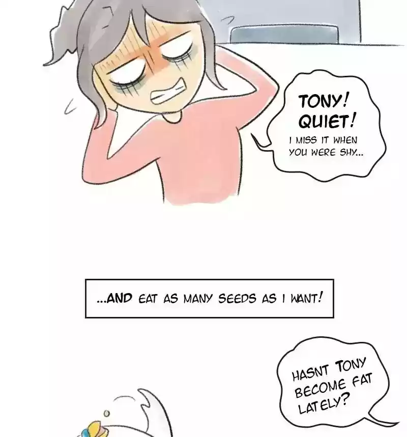 A Budgie's Life Chapter 18: Ep.18: